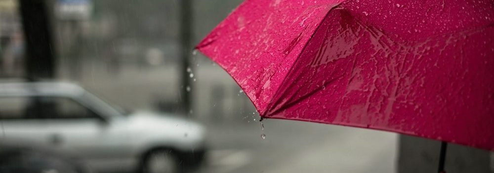 umbrella insurance Greenwich Village,  CA